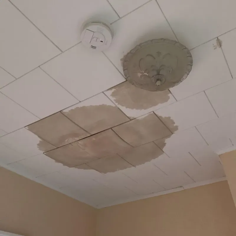 Ceiling Water Damage Repair in Roma-Los Saenz, TX